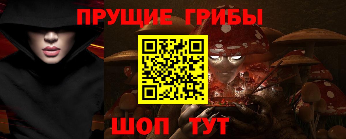 Псилоцибиновые грибы Psilocybine cubensis  Галлюциногенные грибы мухоморы  Бердск  Вход с VPN 